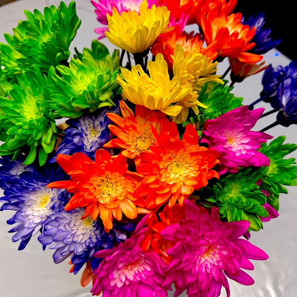 Meet your Posher, Sammi